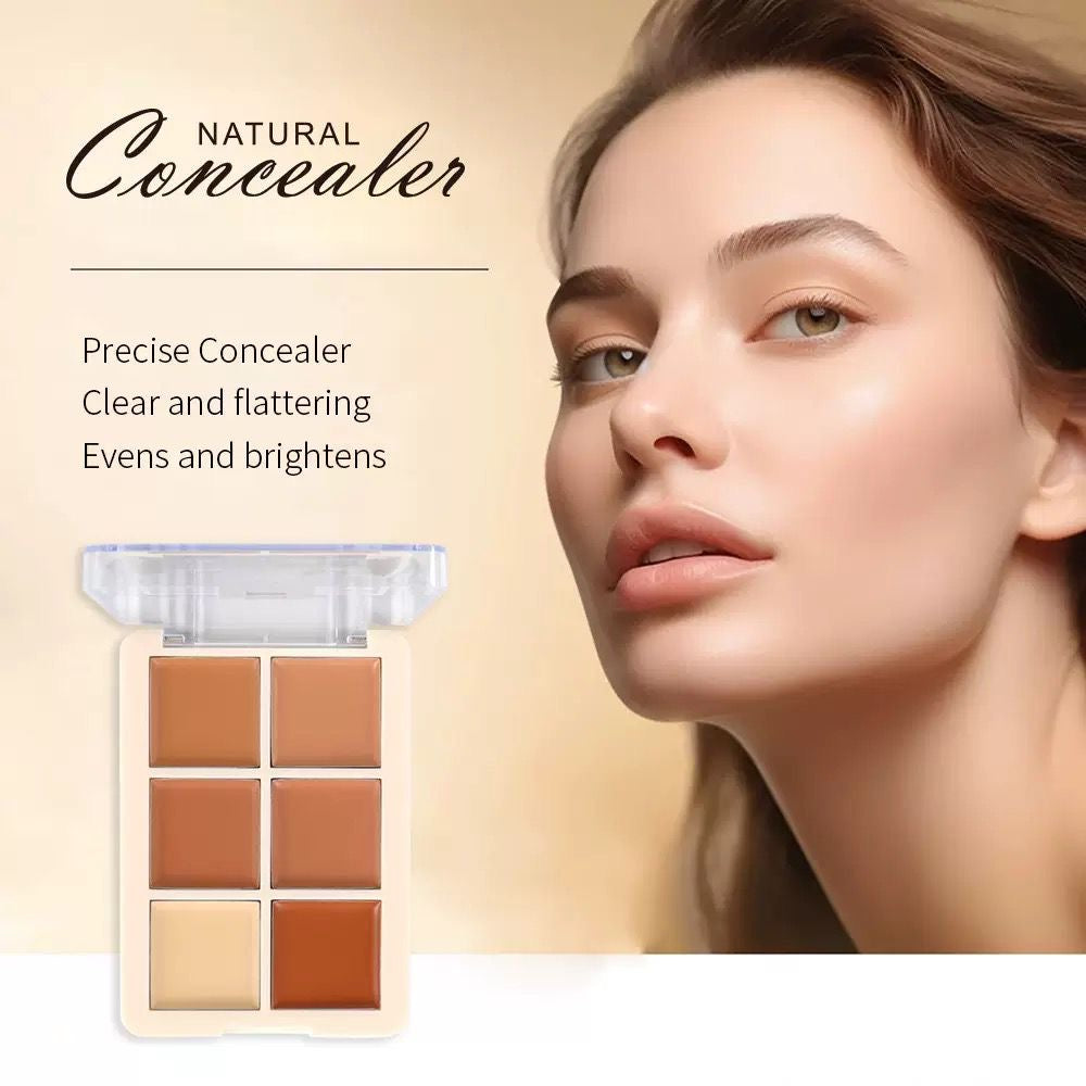MSYAHO 6 Colors Concealer Pallets